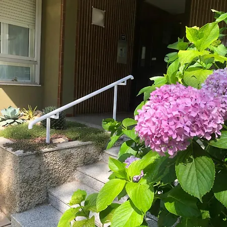 Enchanting Lake-appartamento Incantevole A Due Passi Dal